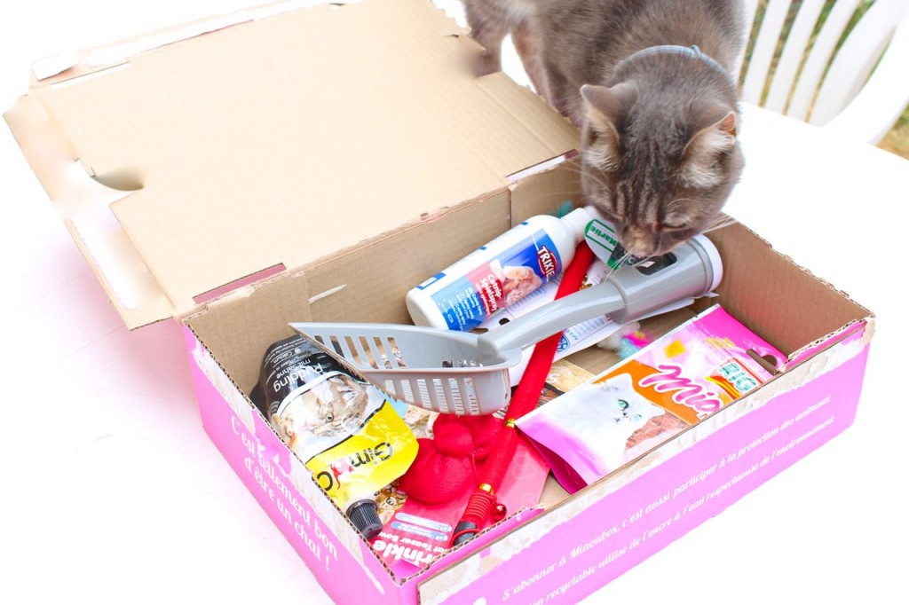 miaoubox_box