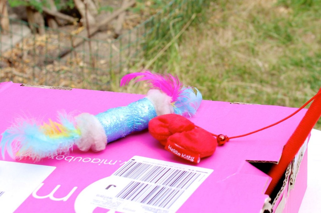miaoubox_jouets