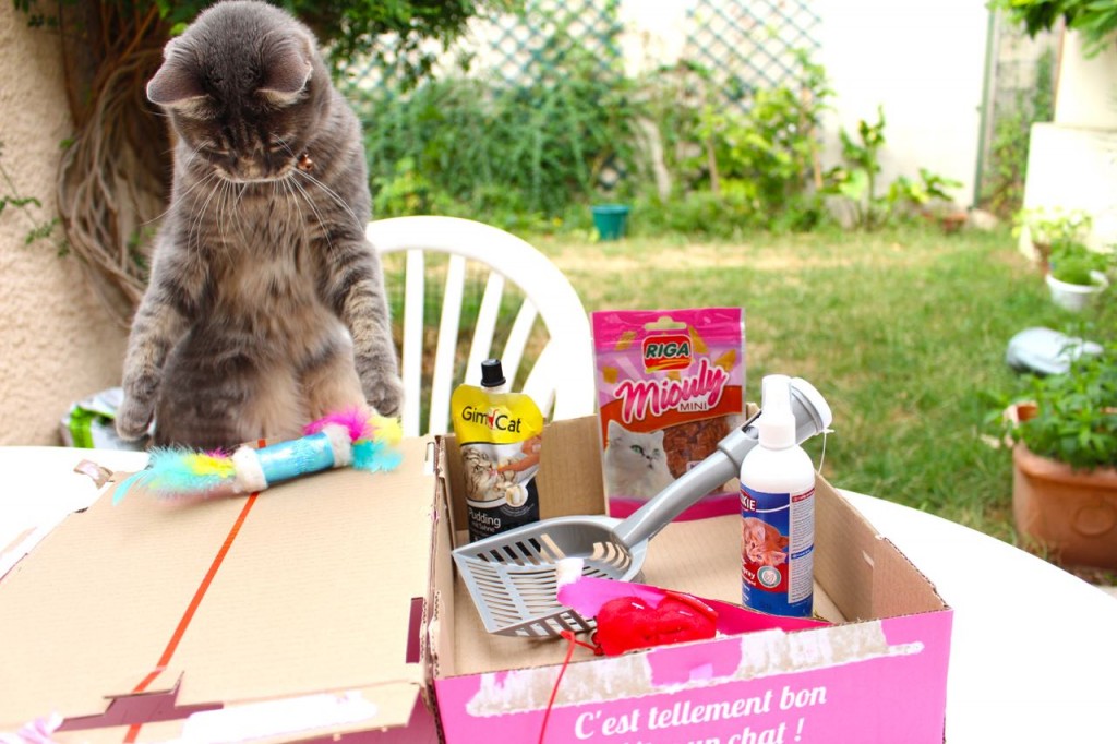 miaoubox_juillet