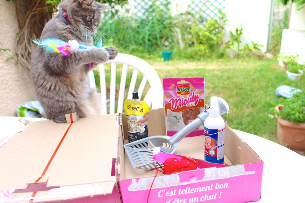 ruby_miaoubox_juillet